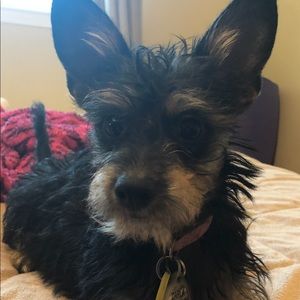 Meet your Posher, Pamela